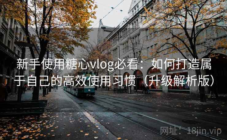 新手使用糖心vlog必看：如何打造属于自己的高效使用习惯（升级解析版）