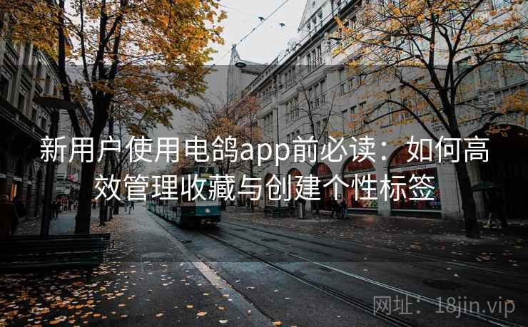 新用户使用电鸽app前必读：如何高效管理收藏与创建个性标签