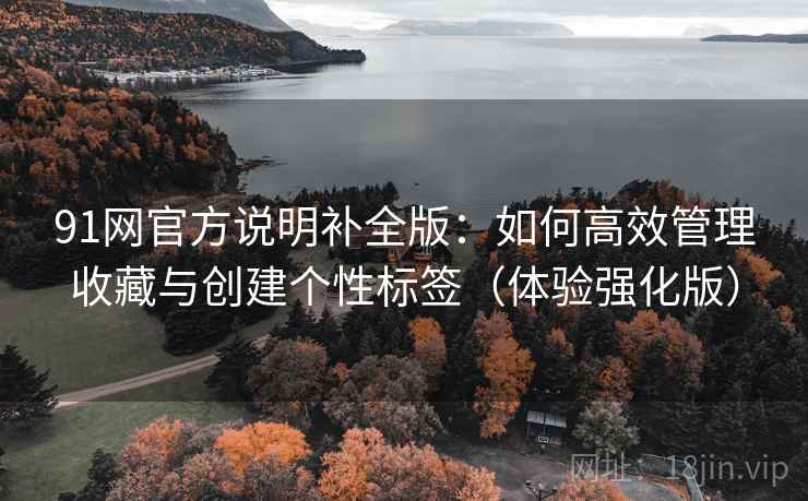 91网官方说明补全版：如何高效管理收藏与创建个性标签（体验强化版）