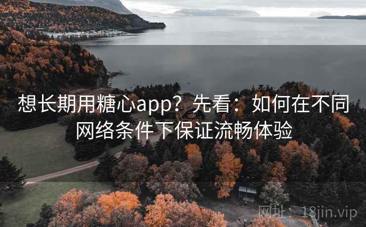 想长期用糖心app？先看：如何在不同网络条件下保证流畅体验