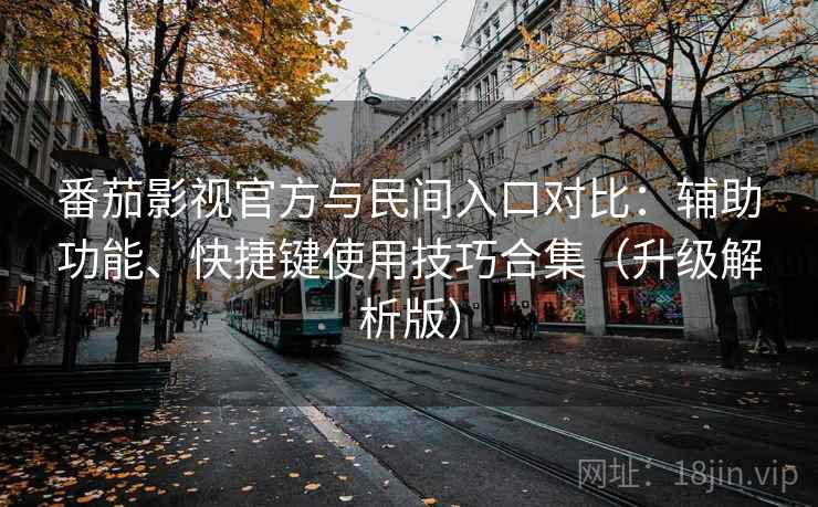 番茄影视官方与民间入口对比：辅助功能、快捷键使用技巧合集（升级解析版）