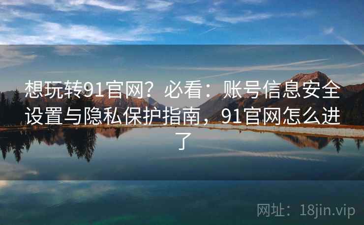 想玩转91官网？必看：账号信息安全设置与隐私保护指南，91官网怎么进了