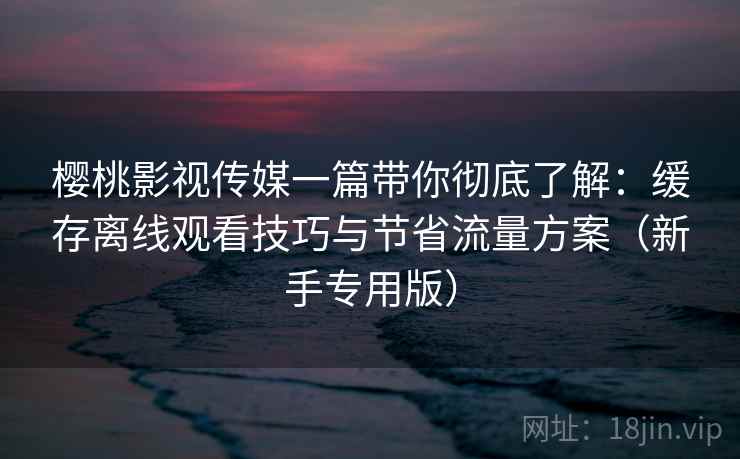 樱桃影视传媒一篇带你彻底了解：缓存离线观看技巧与节省流量方案（新手专用版）