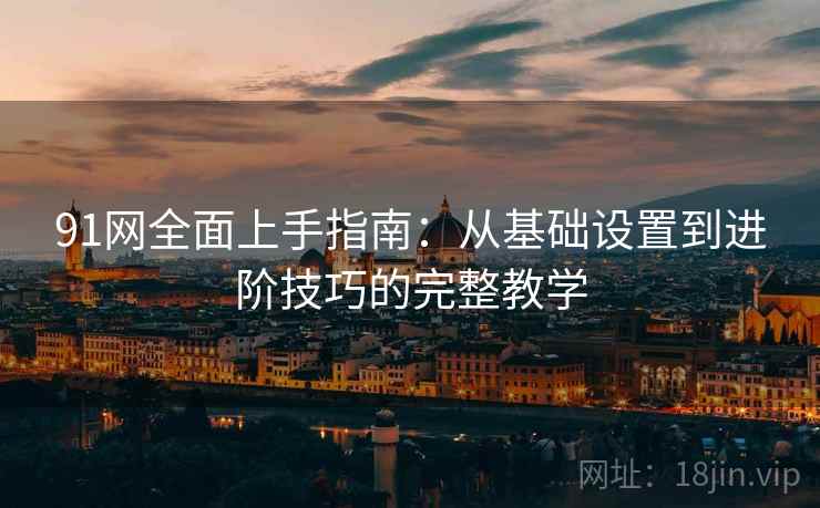 91网全面上手指南:从基础设置到进阶技巧的完整教学 91网全面上手指南:从基础设置到进阶技巧的完整教学