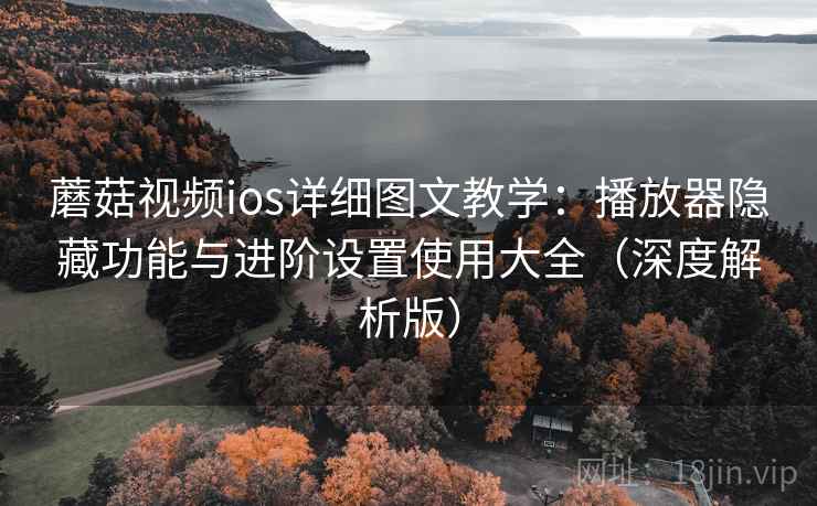 蘑菇视频ios详细图文教学:播放器隐藏功能与进阶设置使用大全(深度解析版) 蘑菇视频ios详细图文教学:播放器隐藏功能与进阶设置使用大全(深度解析版)