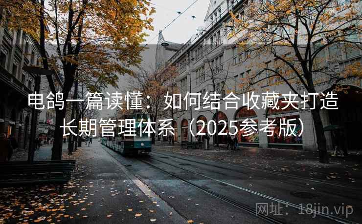 电鸽一篇读懂：如何结合收藏夹打造长期管理体系（2025参考版）