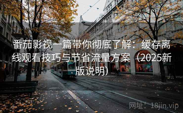 番茄影视一篇带你彻底了解:缓存离线观看技巧与节省流量方案(2025新版说明) 番茄影视一篇带你彻底了解:缓存离线观看技巧与节省流量方案(2025新版说明)