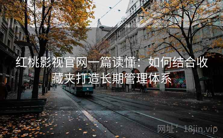 红桃影视官网一篇读懂:如何结合收藏夹打造长期管理体系 红桃影视官网一篇读懂:如何结合收藏夹打造长期管理体系